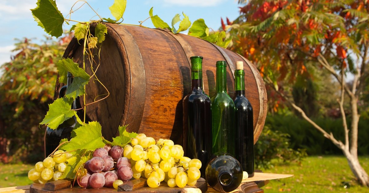 Какой выход вина из винограда